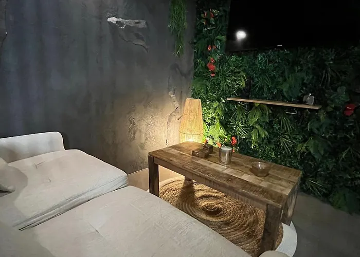 Apartament Jungle *